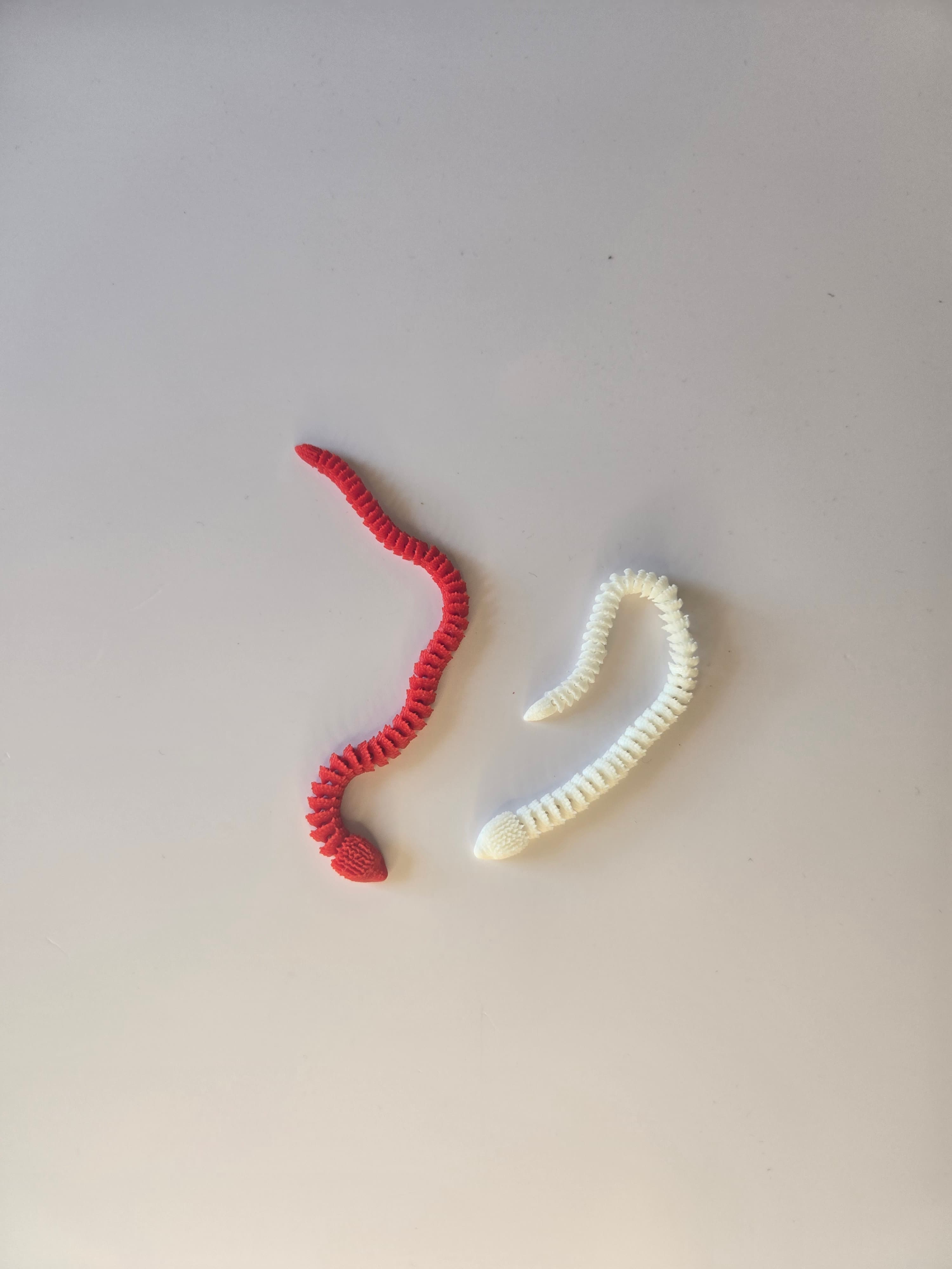 Spiked Snake product photo 2